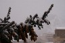 Beaver Creek skiing