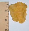 A huge Kellogg's Corn Flake found on 1/3/2005.