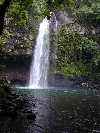 An exquisite waterfall in a Fijian National Park on the island of Taveuni.