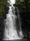 The second of three sequential waterfalls on the nature walk in the Fijian National Park