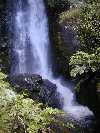  A waterfall on a nature walk at the Buried Village, outside Rotorua. This was a Maori village covered in volcanic ash. Of course, this is a waterfall near the site...